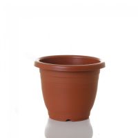 Importador e distribuidor de produtos de jardinagem em São Paulo - 2