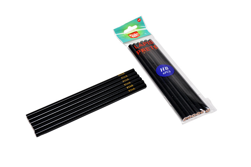 LAPIS PRETO C06  X20