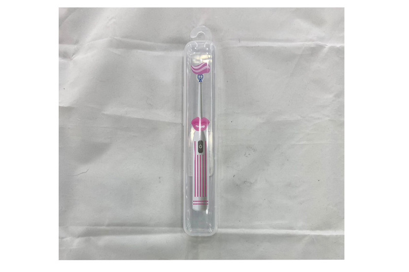 PORTA ESCOVA DENTE PLAST FEMININA  X12