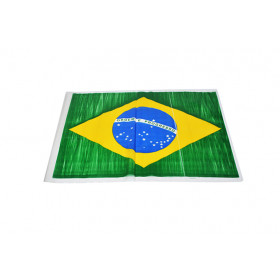 BANDEIRA BRASIL GRD PLASTICO C10 54X38CM